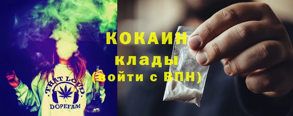 ГАЛЛЮЦИНОГЕННЫЕ ГРИБЫ Няндома