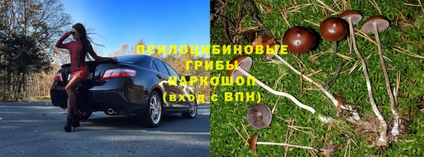 мдпв Горнозаводск