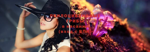 ECSTASY Нягань