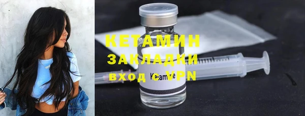 шишки Гатчина