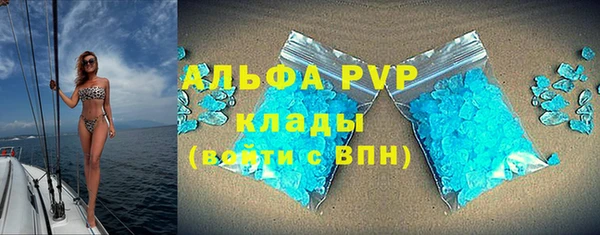 ГАЛЛЮЦИНОГЕННЫЕ ГРИБЫ Няндома