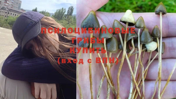 ГАЛЛЮЦИНОГЕННЫЕ ГРИБЫ Няндома