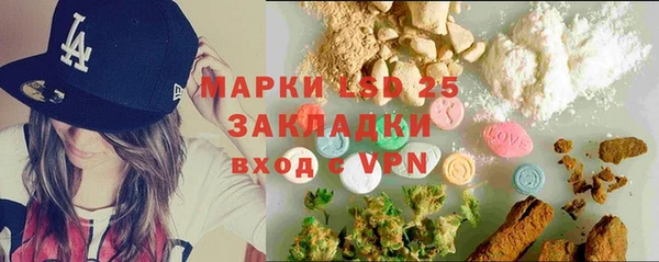 ГАЛЛЮЦИНОГЕННЫЕ ГРИБЫ Няндома