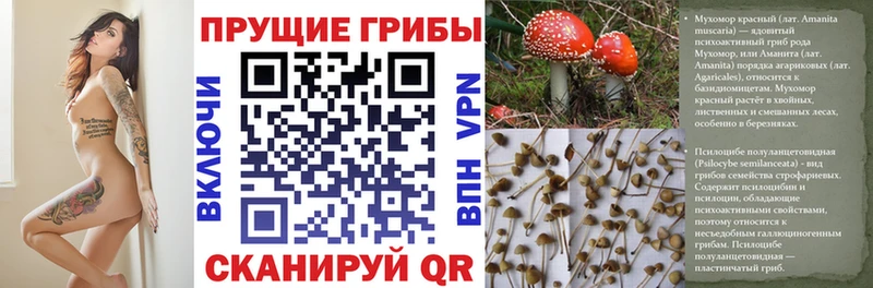 Псилоцибиновые грибы GOLDEN TEACHER  Анжеро-Судженск 