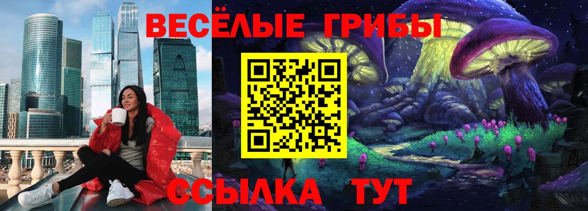 Псилоцибиновые грибы мицелий  Анжеро-Судженск 